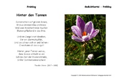 Hinter-den-Tannen-Storm.pdf